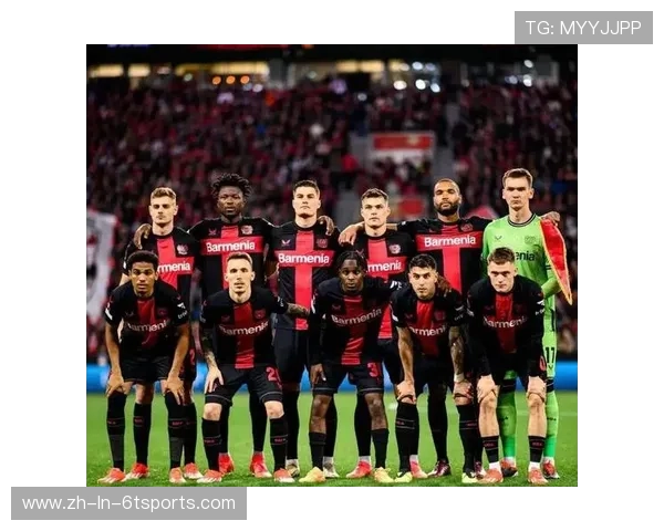 德甲球队科普视频大全推荐及学习价值解析